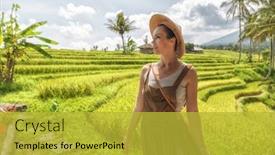  Presentation with bali - PPT theme having woman-at-jatiluwih-rice-terrace background and a yellow colored foreground