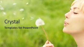 Presentation with dandelion - PPT theme enhanced with woman blowing a dandelion background and a yellow colored foreground