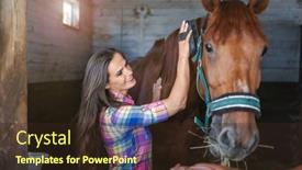  Presentation with horse - Slides featuring woman-brushes-her-horse background and a wine colored foreground
