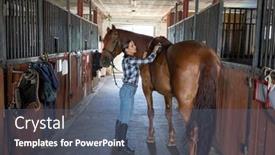  Presentation with horse - PPT theme enhanced with woman-brushes-her-horse background and a gray colored foreground