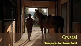  Presentation with horse - PPT layouts enhanced with woman-caressing-her-horse background and a tawny brown colored foreground