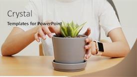  Presentation with plant - Presentation design featuring woman-checking-on-her-dracaena background and a soft green colored foreground