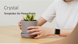  Presentation with plant - Slide deck consisting of woman-checking-on-her-dracaena background and a light gray colored foreground