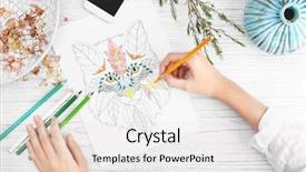  Presentation with anti stress - Slide set consisting of woman coloring anti stress picture background and a white colored foreground