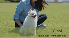  Presentation with green lawn - Theme with woman-cuddle-her-dog background and a yellow colored foreground