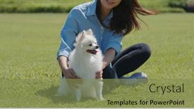  Presentation with green lawn - Presentation design consisting of woman-cuddle-her-dog background and a seafoam green colored foreground