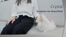  Presentation with dog park - Amazing slide deck having woman-cuddle-her-dog backdrop and a light gray colored foreground