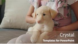  Presentation with puppy - Slide set consisting of woman-cuddle-her-puppy background and a violet colored foreground