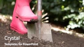  Presentation with garden - Slides consisting of woman digging in garden background and a violet colored foreground