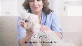  Presentation with reiki - Beautiful PPT theme featuring woman-doing-reiki-therapy backdrop and a light gray colored foreground