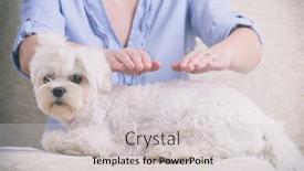  Presentation with reiki - Slide set with woman-doing-reiki-therapy background and a light gray colored foreground