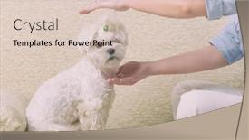  Presentation with reiki - Audience pleasing slides consisting of woman-doing-reiki-therapy backdrop and a lemonade colored foreground