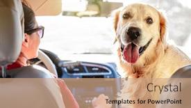  Presentation with golden car - Beautiful slide deck featuring woman-driving-car-with-golden backdrop and a coral colored foreground