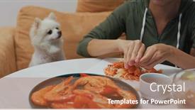  Presentation with shrimp - PPT layouts enhanced with woman-eat-shrimp background and a red colored foreground