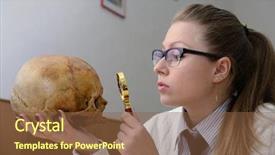  Presentation with human anatomy - Theme with woman examining a human skull background and a tawny brown colored foreground