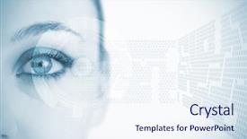  Presentation with abstract blue technology - PPT theme having juniper berries isolated on a white background background and a light gray colored foreground