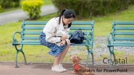  Presentation with dog park - Presentation featuring woman-feed-her-dachshund-dog background and a coral colored foreground