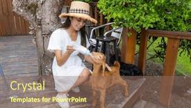  Presentation with milk baby - PPT layouts enhanced with woman-feed-the-baby-sheep background and a violet colored foreground