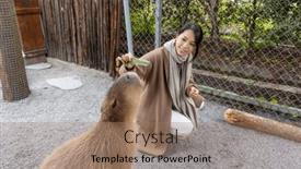  Presentation with zoo - Slide deck featuring woman-feed-with-capybara-enjoying background and a coral colored foreground