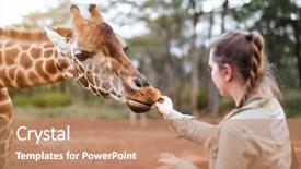  Presentation with africa - PPT theme having woman feeding giraffe in africa background and a coral colored foreground