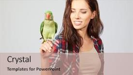  Presentation with parrots - Slide deck with woman feeding parrots isolated shoot background and a coral colored foreground