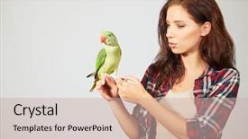  Presentation with parrots - PPT layouts having woman feeding parrots isolated shoot background and a soft green colored foreground