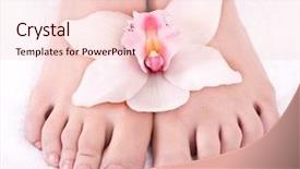  Presentation with lily flower - PPT theme having woman foot with flower lily isolated background and a lemonade colored foreground