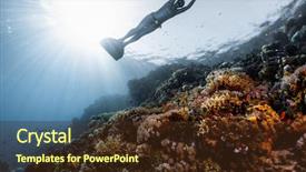  Presentation with coral - Theme consisting of woman free diver glides background and a tawny brown colored foreground
