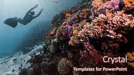  Presentation with coral reef - Beautiful slide set featuring woman free diver glides backdrop and a wine colored foreground