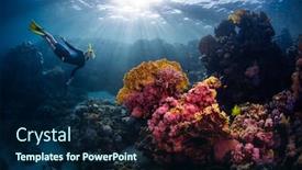  Presentation with underwater - Amazing slide set having woman-freediver-swims-underwater backdrop and a navy blue colored foreground