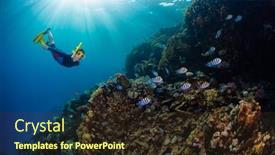  Presentation with coral reef - PPT theme consisting of woman-freediver-swims-underwater background and a wine colored foreground