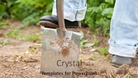  Presentation with soil - Slide deck consisting of woman gardener - only feet to be seen - digging the soil in spring with a spade to make the garden ready background and a coral colored foreground