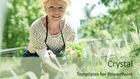  Presentation with gardening - Slide set with woman gardening on beautiful spring background and a mint green colored foreground