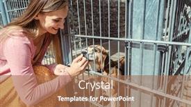  Presentation with animal shelter - Colorful slides enhanced with woman-getting-to-know backdrop and a coral colored foreground