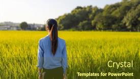  Presentation with rice field - 