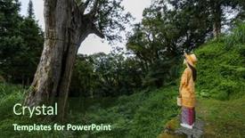  Presentation with forest - PPT layouts having woman-go-forest-for-sightseeing background and a tawny brown colored foreground