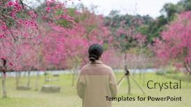  Presentation with sakura - Presentation with woman-go-to-sakura-tree background and a mint green colored foreground