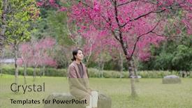  Presentation with sakura - PPT theme consisting of woman-go-to-sakura-tree background and a mint green colored foreground