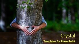  Presentation with global warming - Amazing theme having woman hand embracing a tree in the forest - nature loving fight global warming backdrop and a wine colored foreground