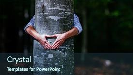  Presentation with global warming - Beautiful slides featuring woman hand embracing a tree in the forest - nature loving fight global warming backdrop and a ocean colored foreground