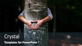  Presentation with global warming - Beautiful slide set featuring woman hand embracing a tree in the forest - nature loving fight global warming backdrop and a tawny brown colored foreground