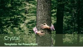  Presentation with green tree - Colorful presentation enhanced with woman-hand-embracing-a-tree backdrop and a tawny brown colored foreground