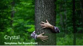  Presentation with save earth - Presentation theme enhanced with woman-hand-embracing-a-tree background and a forest green colored foreground