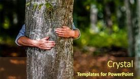  Presentation with global warming - PPT layouts enhanced with woman-hand-embracing-a-tree background and a tawny brown colored foreground