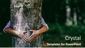  Presentation with global warming - Presentation enhanced with woman-hand-embracing-a-tree background and a forest green colored foreground