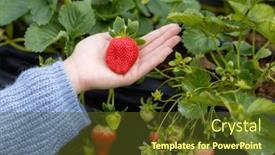  Presentation with hold hand - 