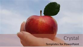  Presentation with trophy award hand holding - PPT layouts having woman-hand-holding-an-apple background and a red colored foreground