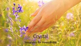  Presentation with rural health - Slides having flowers girl's hand touching background and a gold colored foreground