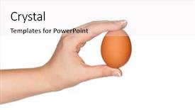  Presentation with hand x ray - Colorful PPT theme enhanced with woman hand with egg isolated backdrop and a sky blue colored foreground