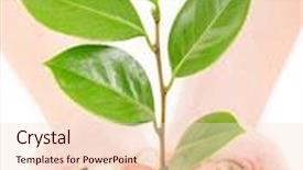  Presentation with holding people in hands - PPT theme featuring up on a integrated circuit background and a seafoam green colored foreground.